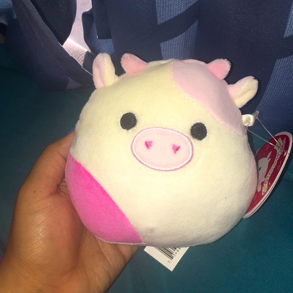 Valentines squishmallow caedyn ❤️